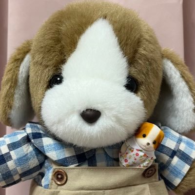 いぬのさんちゃん🐶と飼い主のうさみ🐰と仲間たちの日常☀️さんちゃんはサンアロー出身のぬいぐるみだよ🧸 ぬい垢さん仲良くしてね✨ おさるのジョージ、ポケモン、シルバニアも好き！うさみのシルバニアアカウント→@sylvaniausachan