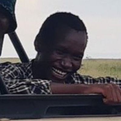 pepetasins's profile picture. 