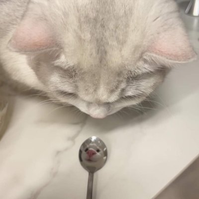 MPrommun's profile picture. ZQ5PJTJZ🐐 Tabi 🟧