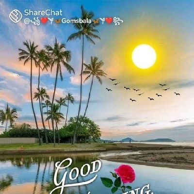 உண்மையான அன்பிற்காக மட்டும். யாரையும் நம்பாதே ..........