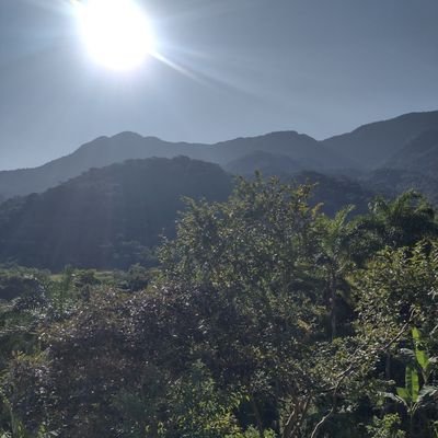 Cristin46344919's profile picture. 