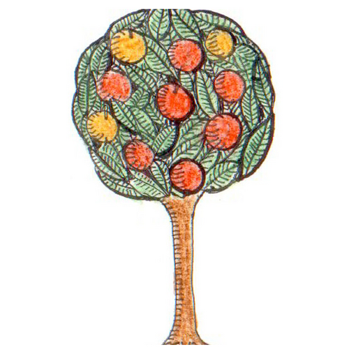 Award winning organic Italian cookery school in Essex. Book courses online or purchase gift vouchers through the website.
