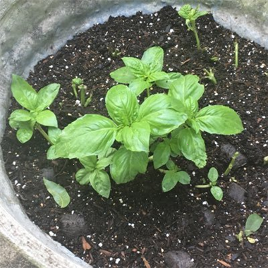 Pesme129846's profile picture. 🎞️ Media Husl is a streaming platform providing its viewers with New original content and live shows. 📽️