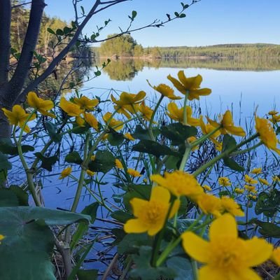 Uskon edelleen naivisti, että maailmaa voidaan muuttaa ja parantaa.