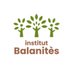 Institut Balanitès (@assobalanites) Twitter profile photo Institut Balanitès (@assobalanites) Twitter profile photo