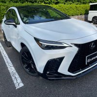 Octa (@octa_nx) 's Twitter Profile
