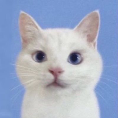 henls6n's profile picture. 