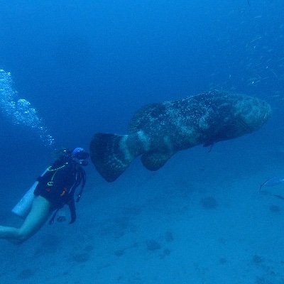 Masters Student at Moss Landing Marine Laboratories
BSc University of Miami