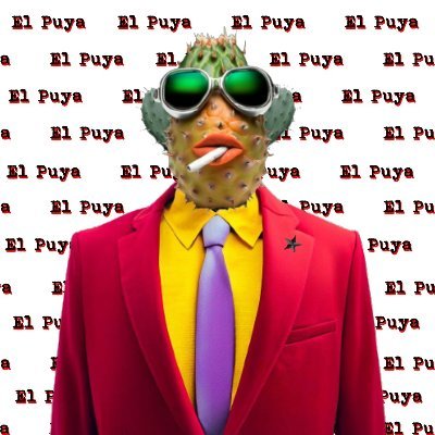 PuyaPuyita Profile Picture