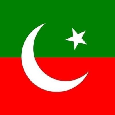 I love my Pakistan and I love Imran khan