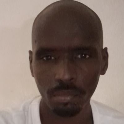 allatchi_l27349's profile picture. 