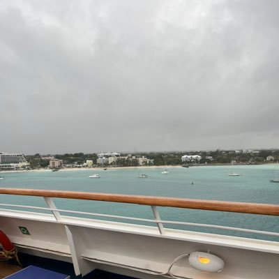 metwydd's profile picture. visionary🦅