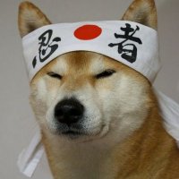 Takashi Nekomoto (@takashi4602) 's Twitter Profile