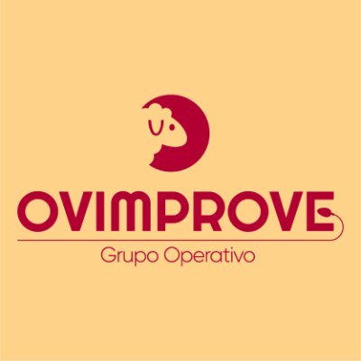 OVIMPROVE_ Profile Picture