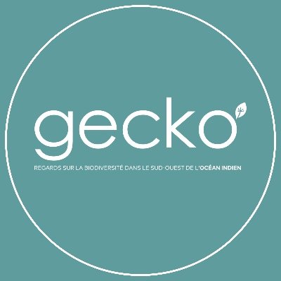 RevueGecko Profile Picture