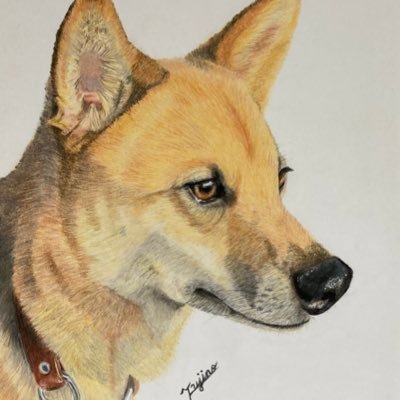 育児ブログから愛犬ブログを経て、今は色鉛筆でお絵描きに目覚めました！2021年から色鉛筆でお絵描き勉強中です。