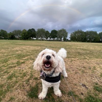 parrish_george's profile picture. 