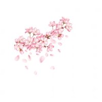 おちゃ (@ocha_ikoi_xxx) 's Twitter Profile