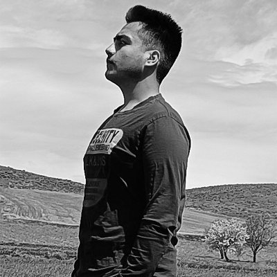 Mehdi_Parsafard's profile picture. I'm a physical artist, digital artist, digital editor, photographer, singer and NFT creator all of my jobs and artworks calls my passion to be great