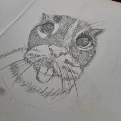 badiboorat's profile picture. Delulu since birth