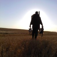 Tim LaVan (@timlavan) 's Twitter Profile
