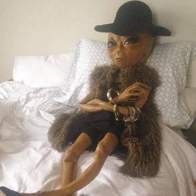 igorsteven2's profile picture. Um livro aberto com uma página rasgada e minha tinta está acabada