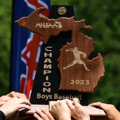 Official account of the 2023 Division 1 State Champion Novi High School Baseball Program: A Winning Tradition