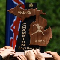 Novi Baseball (@novihsbaseball) 's Twitter Profile
