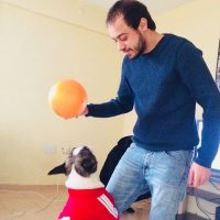 Arda Süren (@ardaasuren) 's Twitter Profile