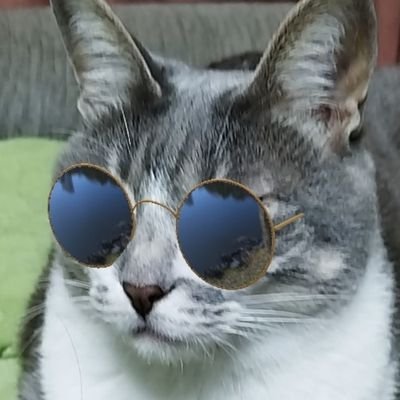 AYAKAさんのプロフィール画像