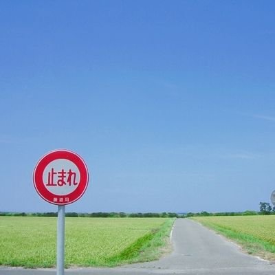 8364chama's profile picture. 2022年10月投資開始。長期保有スタイルで大手会社の高配当株や株主優待あり株を収集中😁