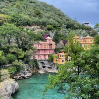 Ghadeer Hariri (@ghadeerhariri) 's Twitter Profile