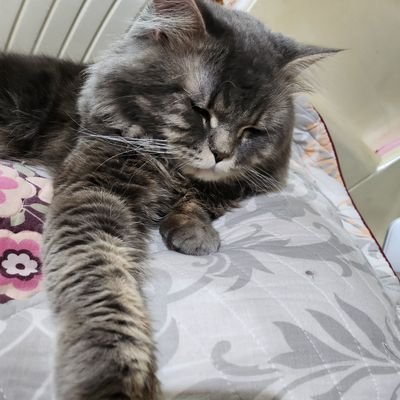 ririkiiiiiiiii's profile picture. 