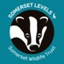 Somerset Levels | SWT (@SWTlevels) Twitter profile photo
