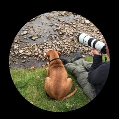 Trev_Howarth Profile Picture