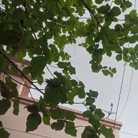 Jai Bharatt🇮🇳 (@ashwath095) 's Twitter Profile