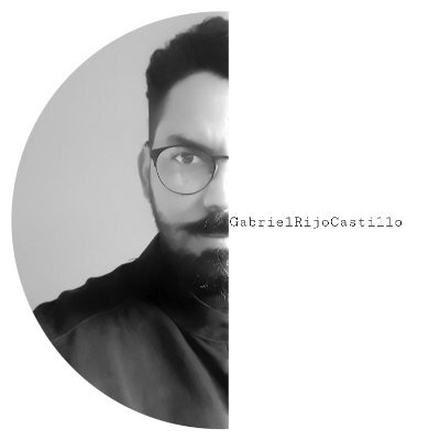 Gabriel Rijo Castillo Profile