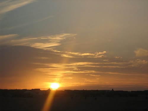 clara_sinmas's profile picture. Investigando para mi tesis:el rol de la comunicación noviolenta en los movimientos de resistencia noviolenta. Café y Té con Gene Sharp in Marshall Rosenberg