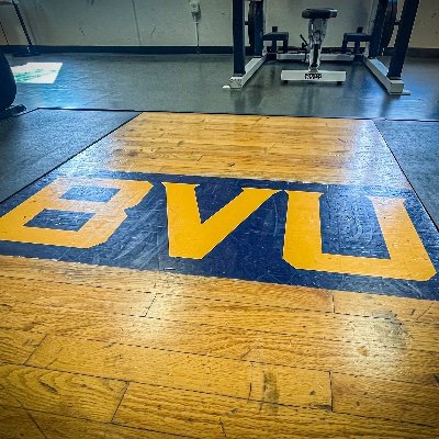 BVU Performance Profile