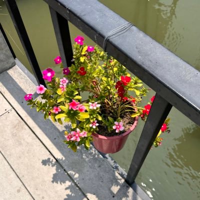 sundayonoctober's profile picture. 