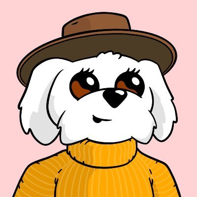 Signalさんのプロフィール画像
