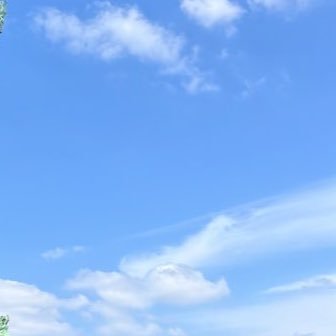 maryboo56132521's profile picture. 