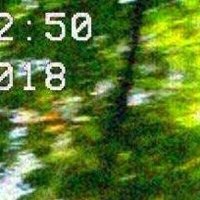 27321 (@lny3lpvqxw37656) 's Twitter Profile