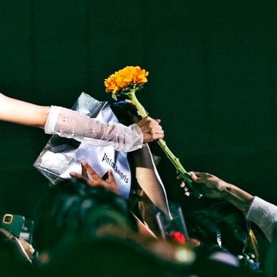 Nicole_NW_'s profile picture. 