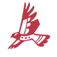 Native SOAR (@nativesoar) 's Twitter Profile