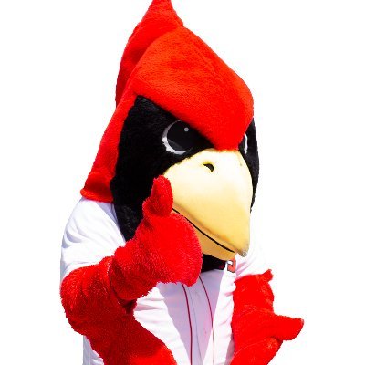 Career Services provides Illinois State University Redbirds with career resources, services and events to help them achieve career success.