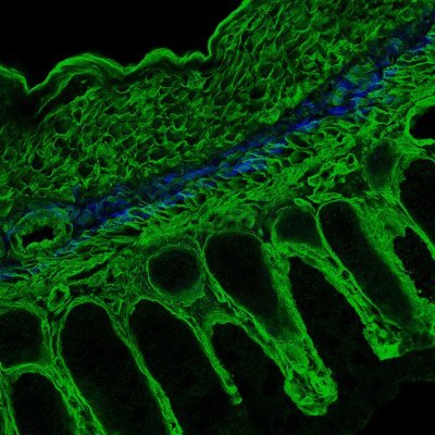 Genes to functions. Microbiome in health & disease. Computational biology. Chemical biology. Innate & adaptive immunity. https://t.co/fsw4zVpmOE