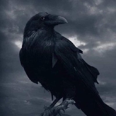 Rave4Raven Profile Picture