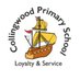 Collingwood Primary School Eco (@CollingwoodEco_) Twitter profile photo