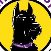 B'Spa Athletics (@b_spa_athletics) 's Twitter Profile